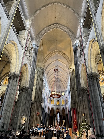 Photo 3 of Cryte de la Cathédrale Notre-Dame-de-la-Treille