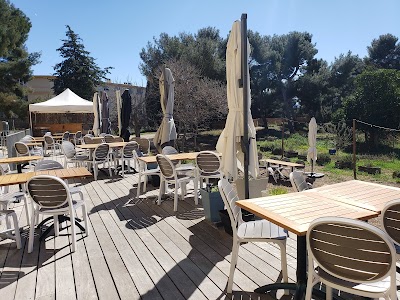 Photo 1 de Restaurant bistronomique - Les Jardins du Cloître de Marseille