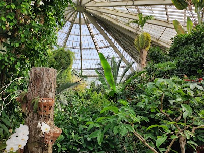 Parc Phœnix