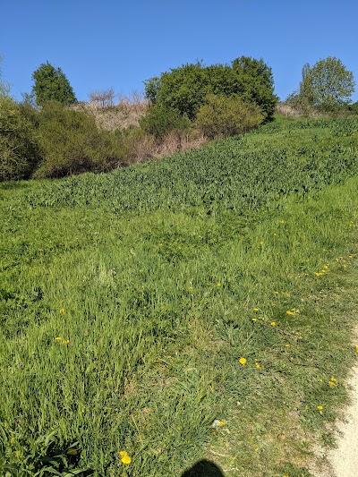 Photo 5 de Parc du Pas du Loup