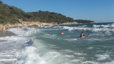Photo 3 de Gigaro