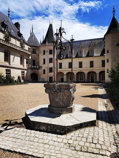 Photo 3 de Domaine de Chaumont-sur-Loire