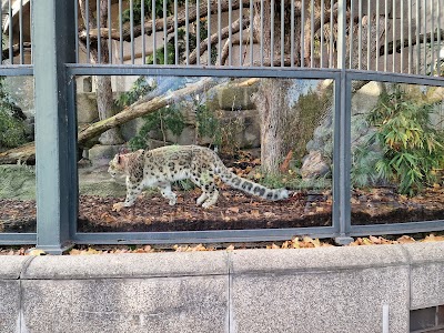 Photo 5 de Ménagerie du Jardin des plantes