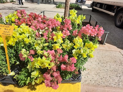 Photo 2 de Marche aux fleurs du vendredi