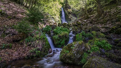 Photo 4 de Vallée de Chaudefour