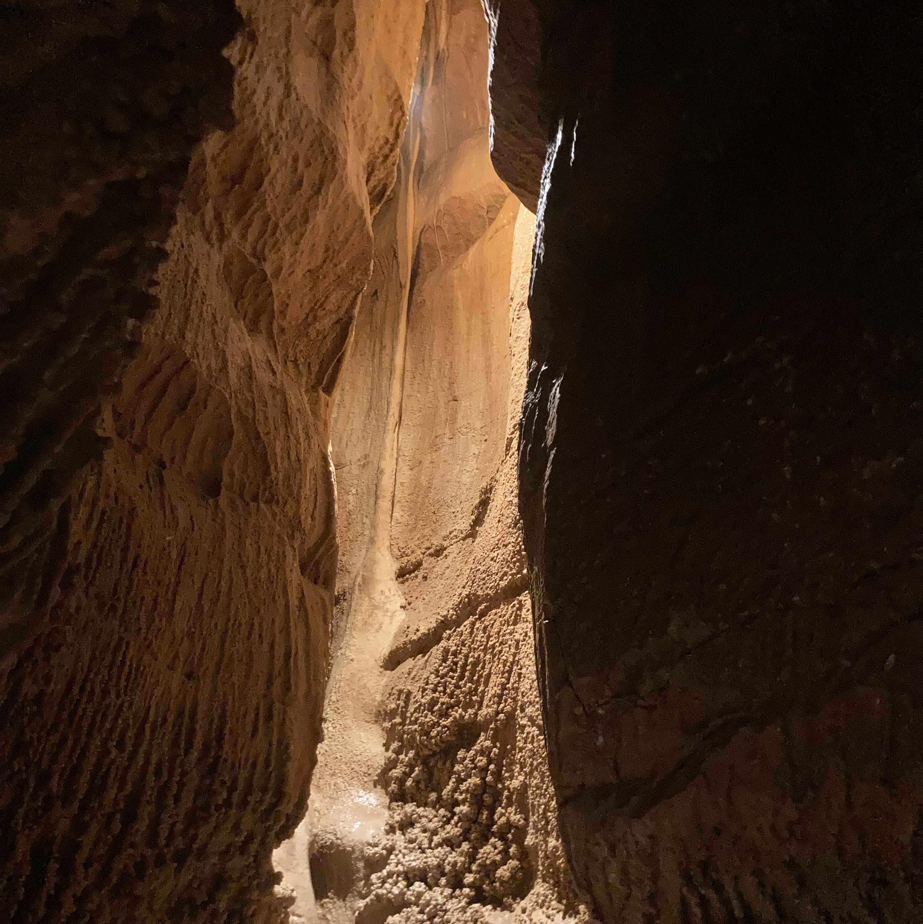 Photo 1 de Grotte De La Baume Obscure
