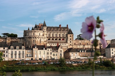 Photo 2 de Château royal d'Amboise
