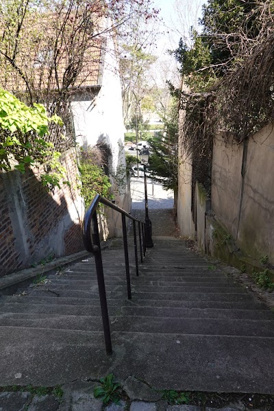 Photo 4 de La campagne à Paris