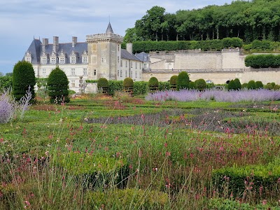 Photo 1 de Château de Villandry