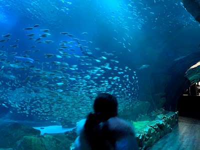 Photo 2 de Aquarium de Paris