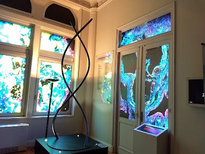 Photo 3 de Musée de l'Institut Pasteur de Lille