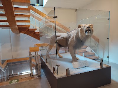 Photo 4 de Musée d'histoire naturelle