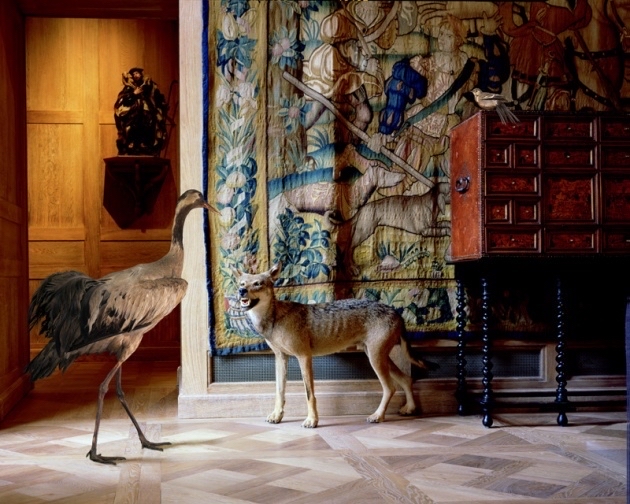 Photo 5 de Musée de la Chasse et de la Nature