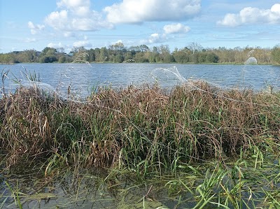 Photo 4 de Marais Tougas
