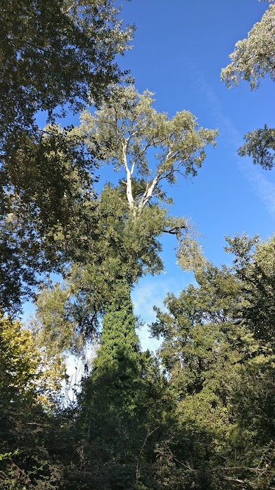 Photo 4 of Parc Naturel des Rives du Loup