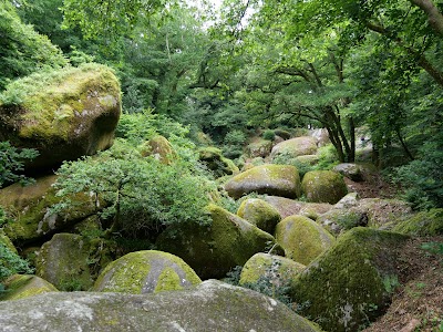 Photo 2 de Forêt de Huelgoat