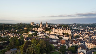 Photo 1 de Château de Loches