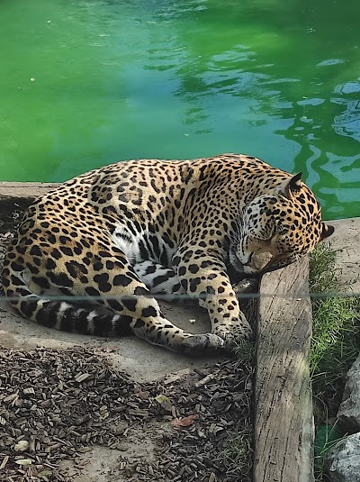 Photo 3 de Zoo de Bordeaux-Pessac
