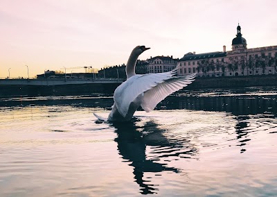 Photo 4 de Berges du Rhône