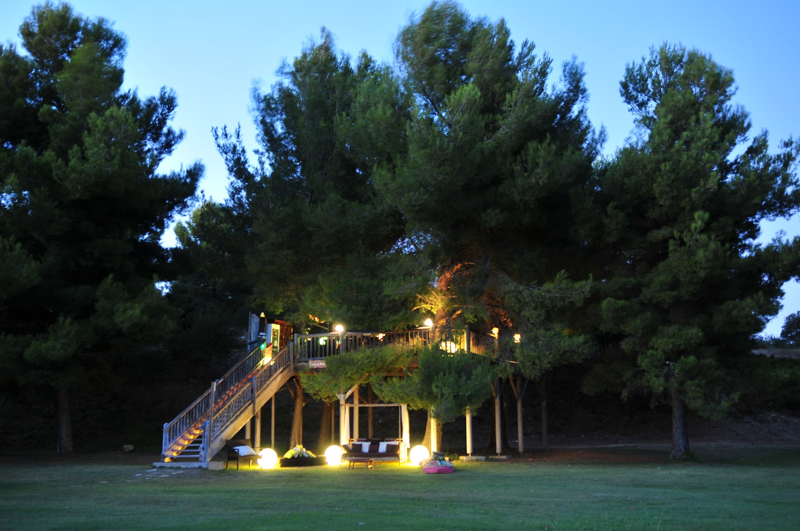 Photo 3 de Dans les arbres