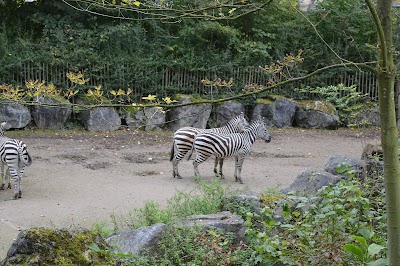 Photo 2 of Zoo de Lille