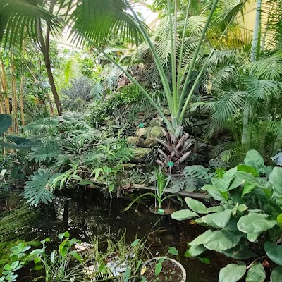 Photo 2 of Jardin Botanique de l'université de Strasbourg