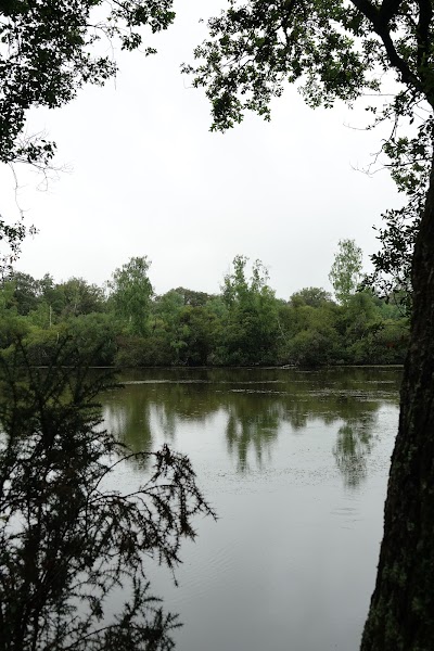 Photo 5 de Espace naturel des Rouchoux