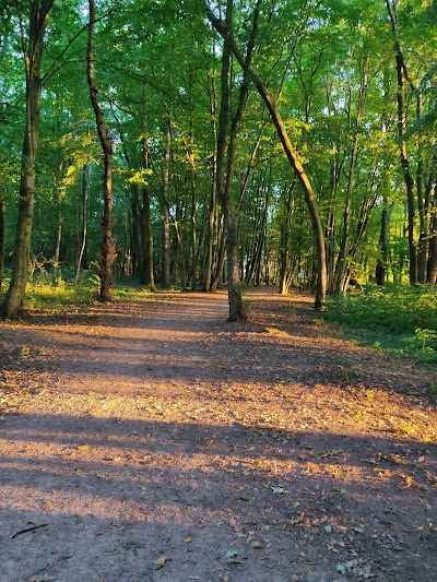 Photo 1 de Bois de Lébisey