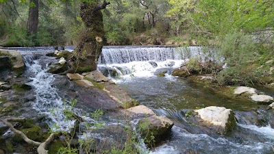 Photo 5 de Gorges du Caramy