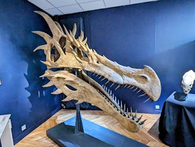 Photo 2 de Muséum d’Histoire naturelle d’Auxerre