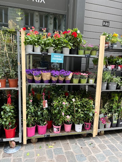Photo 4 de Plantes Pour Tous - Bellecour