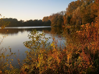 Photo 3 of La Sauvagine