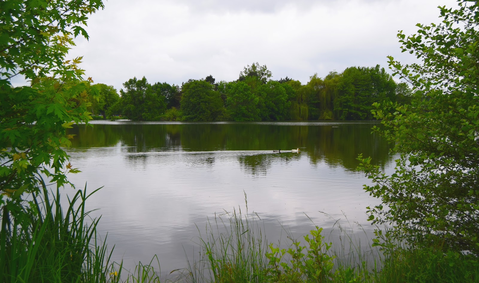 Photo 3 of Parc de Belle-Isle