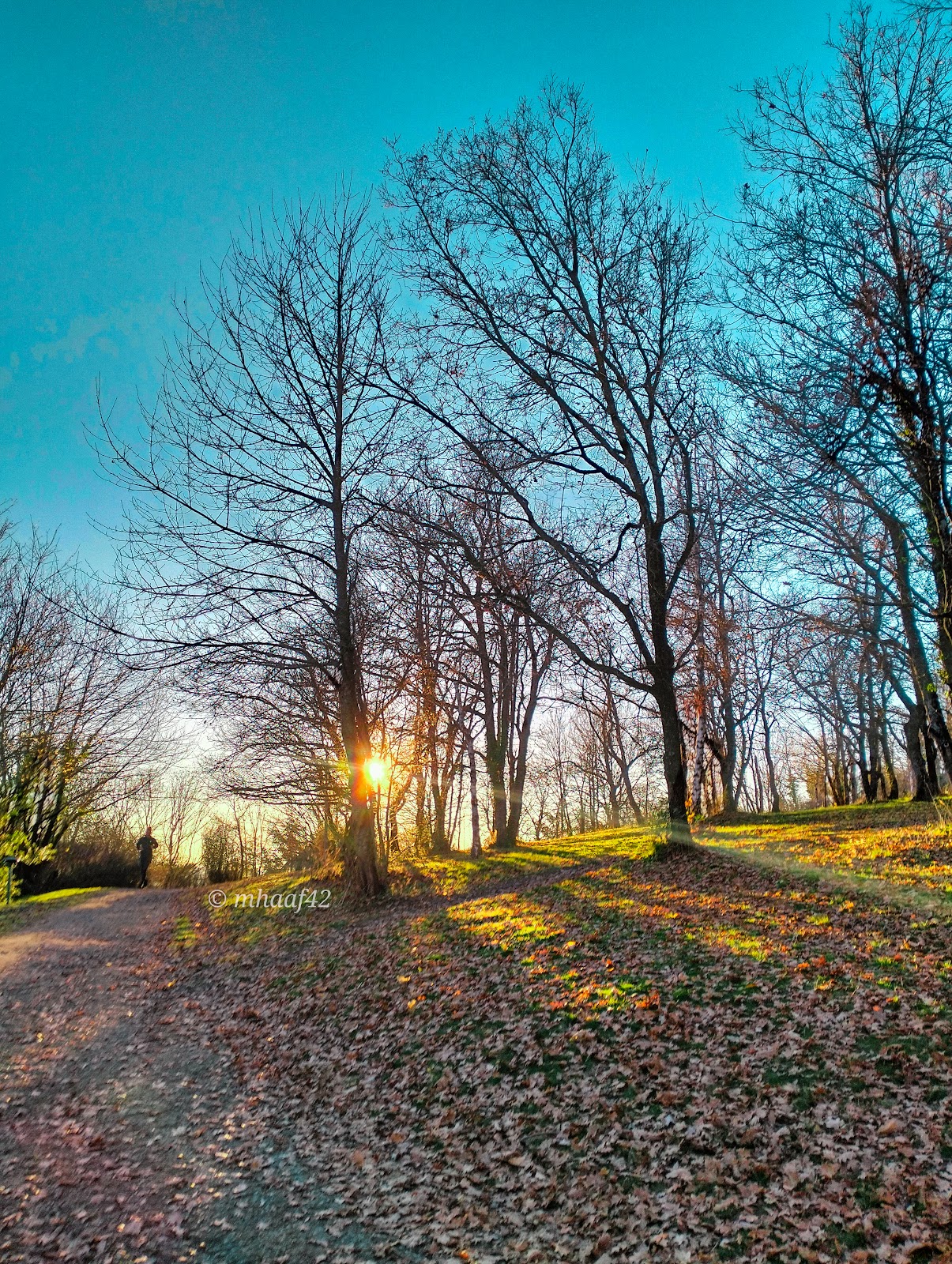 Photo 3 de Parc de Montaud