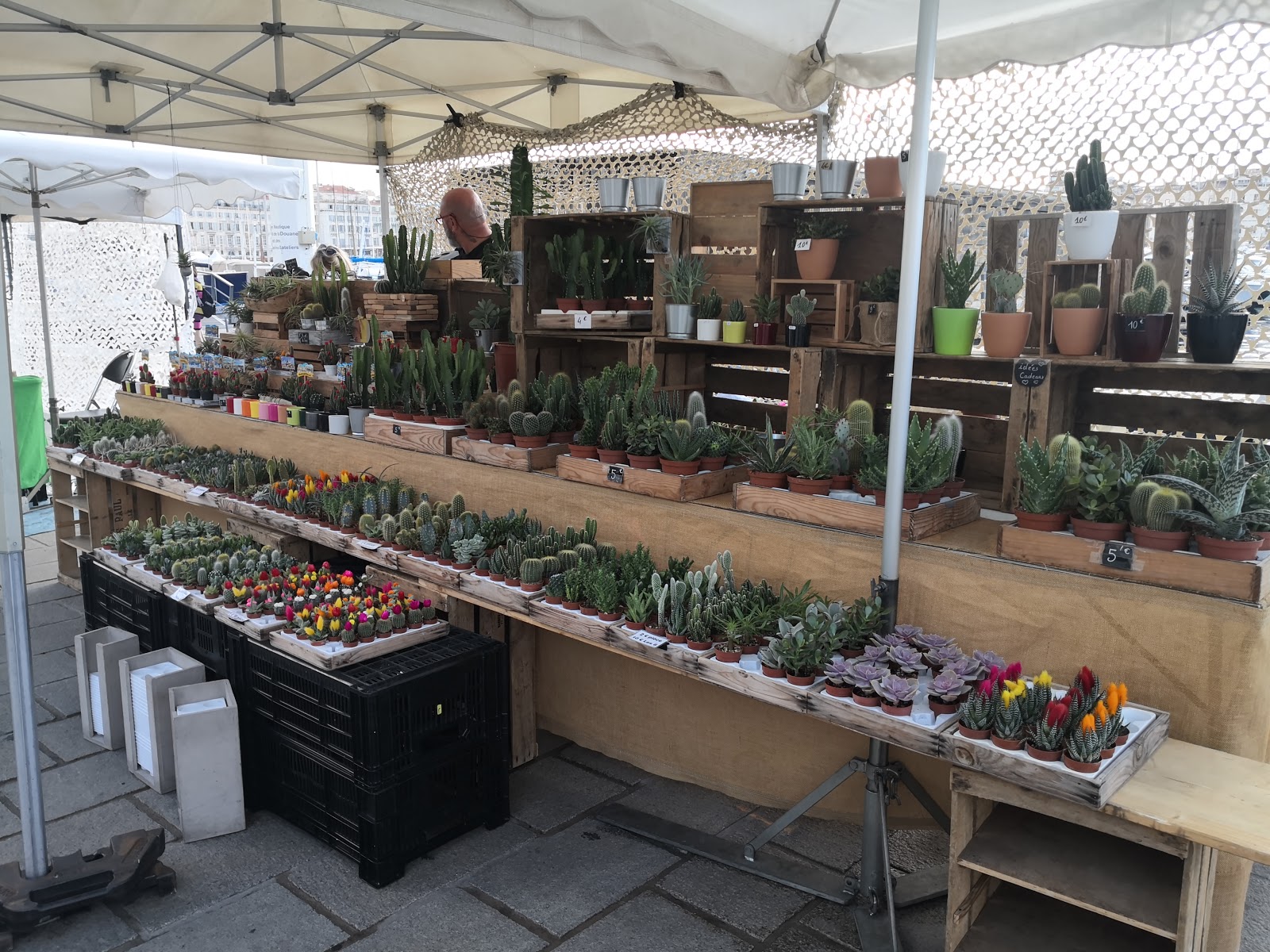 Photo 2 de Marché aux Poissons
