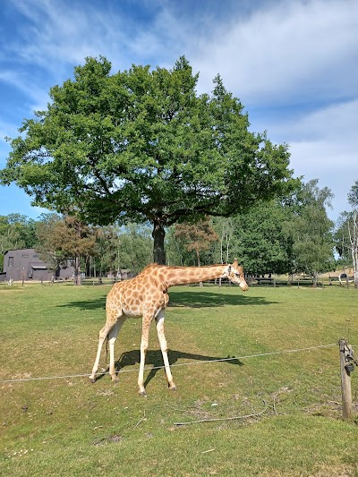 Photo 1 de Zoo Thoiry