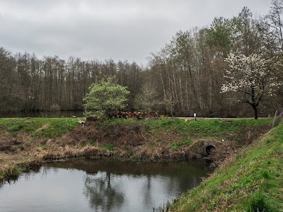 Photo 5 de Château de la Chasse