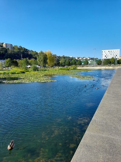 Photo 4 of Confluence