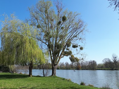 Photo 3 de Étang de Saint Georges sur Eure