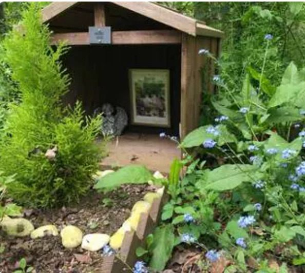 Photo 1 de Cimetière des petits animaux, Forêt de Grimbosq