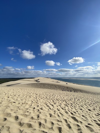 Photo 4 of Dune du Pilat