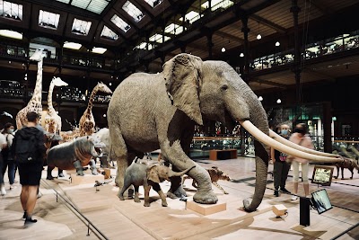 Photo 3 de Grande Galerie de l'Évolution