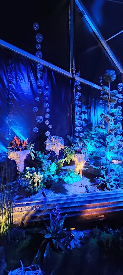 Photo 4 of Parc expo de mulhouse folies flore