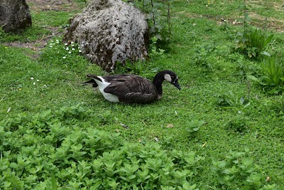 Photo 3 de Parc Moulineau