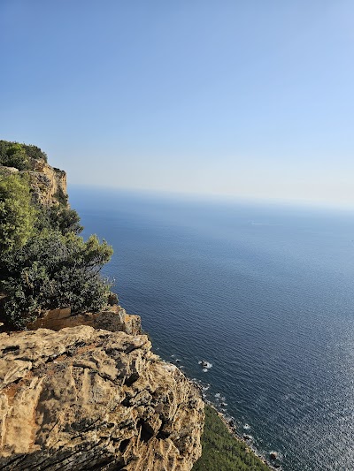 Photo 3 de Falaises de Cassis