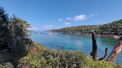 Photo 4 de Port-Cros
