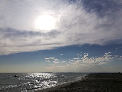 Photo 4 of L'Oyat-Plage