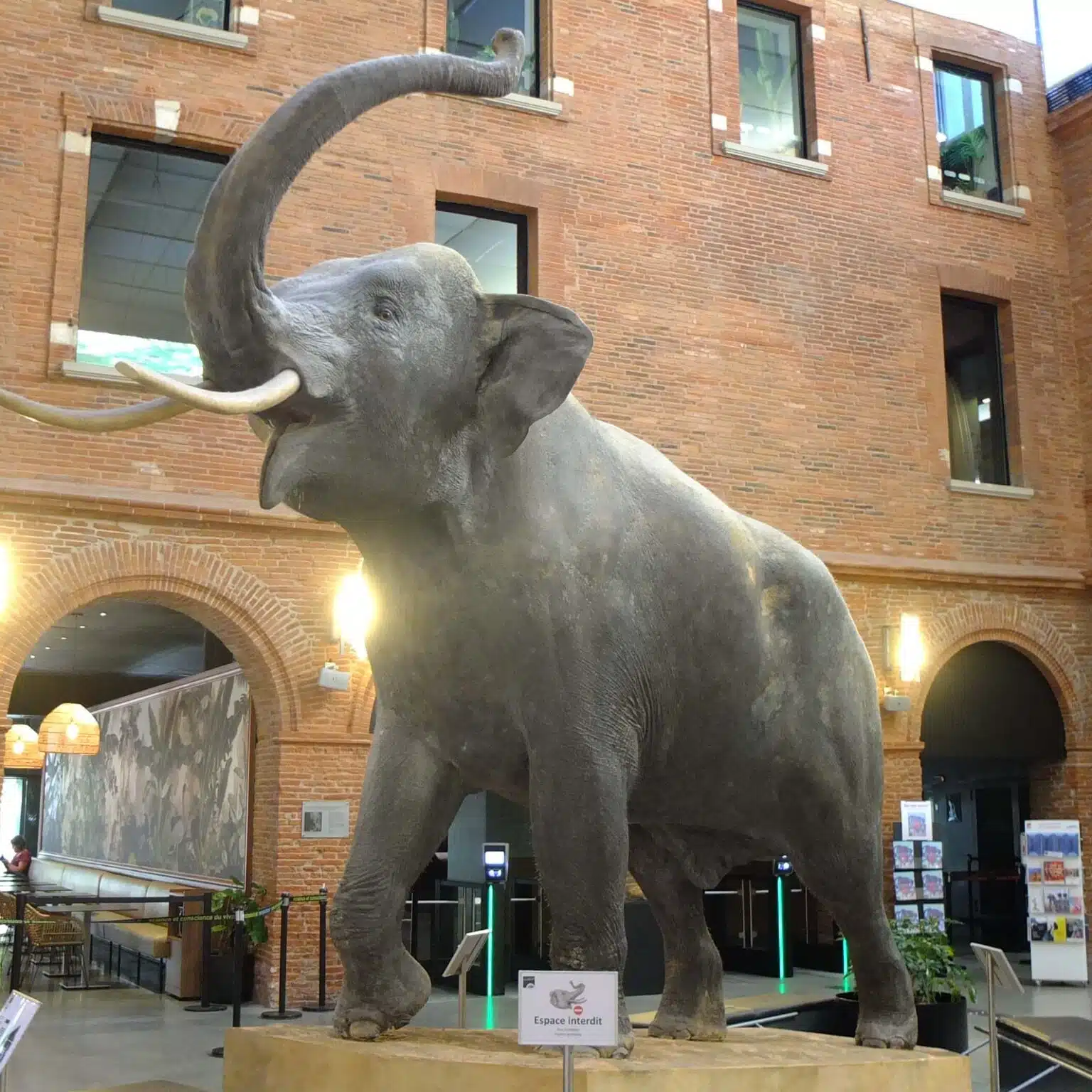 Muséum de Toulouse