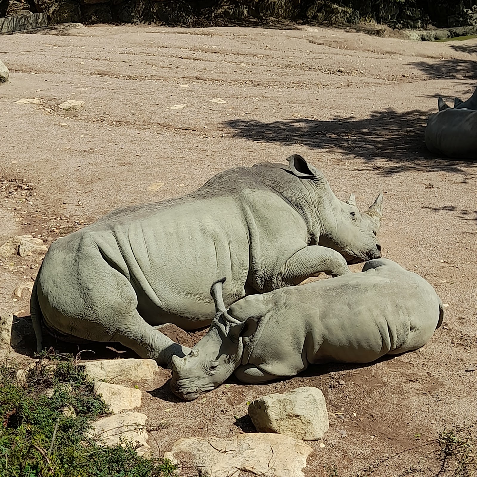 Photo 3 de Zoo d'Amnéville