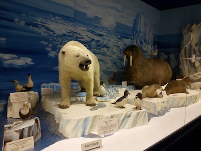 Photo 1 de Musée zoologique de Strasbourg